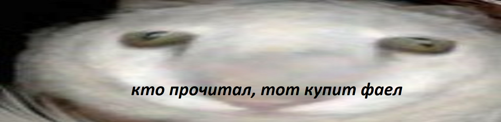Картинка-подпись